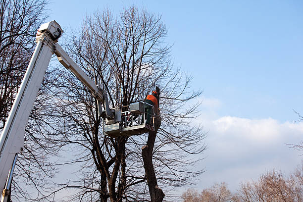 Mulching Services in South Portland, ME